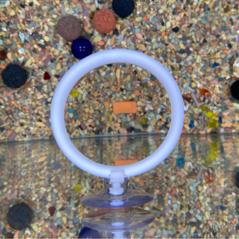 Gymnastic Ring - 1 Stück Kunststoff-Aquarium-Trainingsring-Set mit Saugnäpfen für